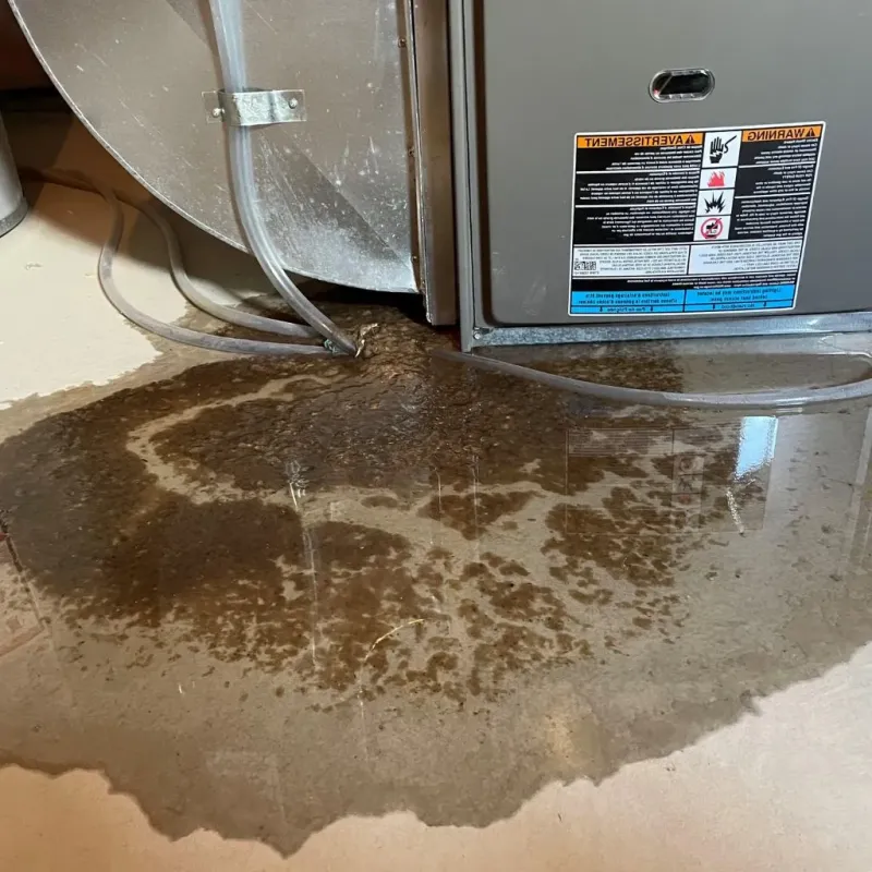 Pipe Burst and Leak Restoration in Wittenberg, WI